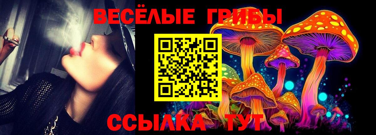 Заволжье  Псилоцибиновые грибы MAGIC MUSHROOMS  Вход с VPN 