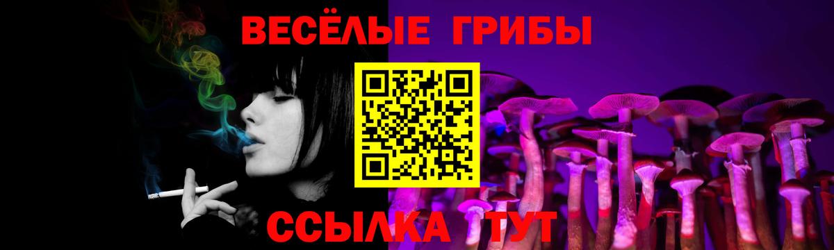 Галлюциногенные грибы мухоморы Заволжье