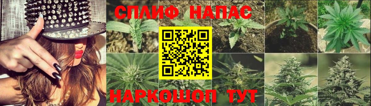 Канабис AK-47  Канабис OG Kush  Заволжье  Вход с VPN  Бошки Шишки Bruce Banner  Шишки марихуана VHQ 